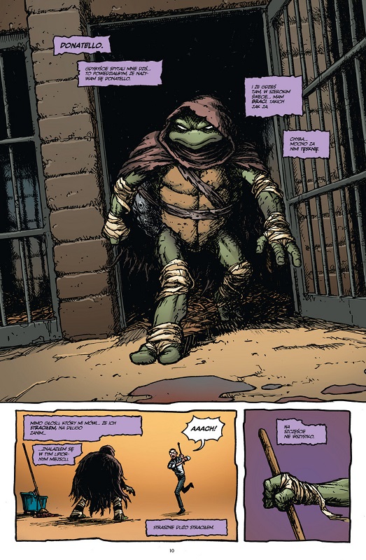 Wojownicze Żółwie Ninja