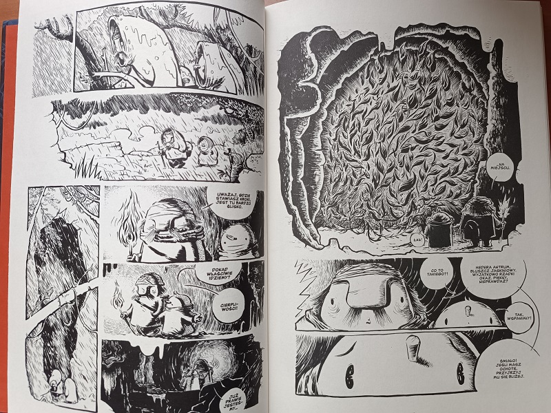 Strażnik Szyszek komiks