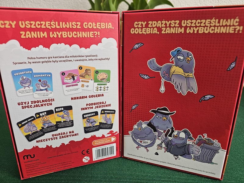 Rozrywkowe Gołębie Muduko