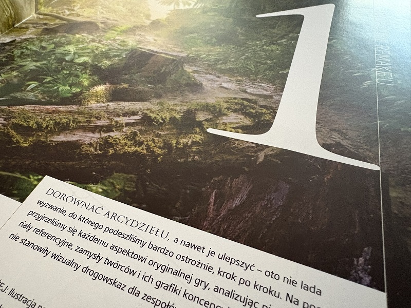 Assassin's Creed Black Flag Resynced Artbook Gamebook PL